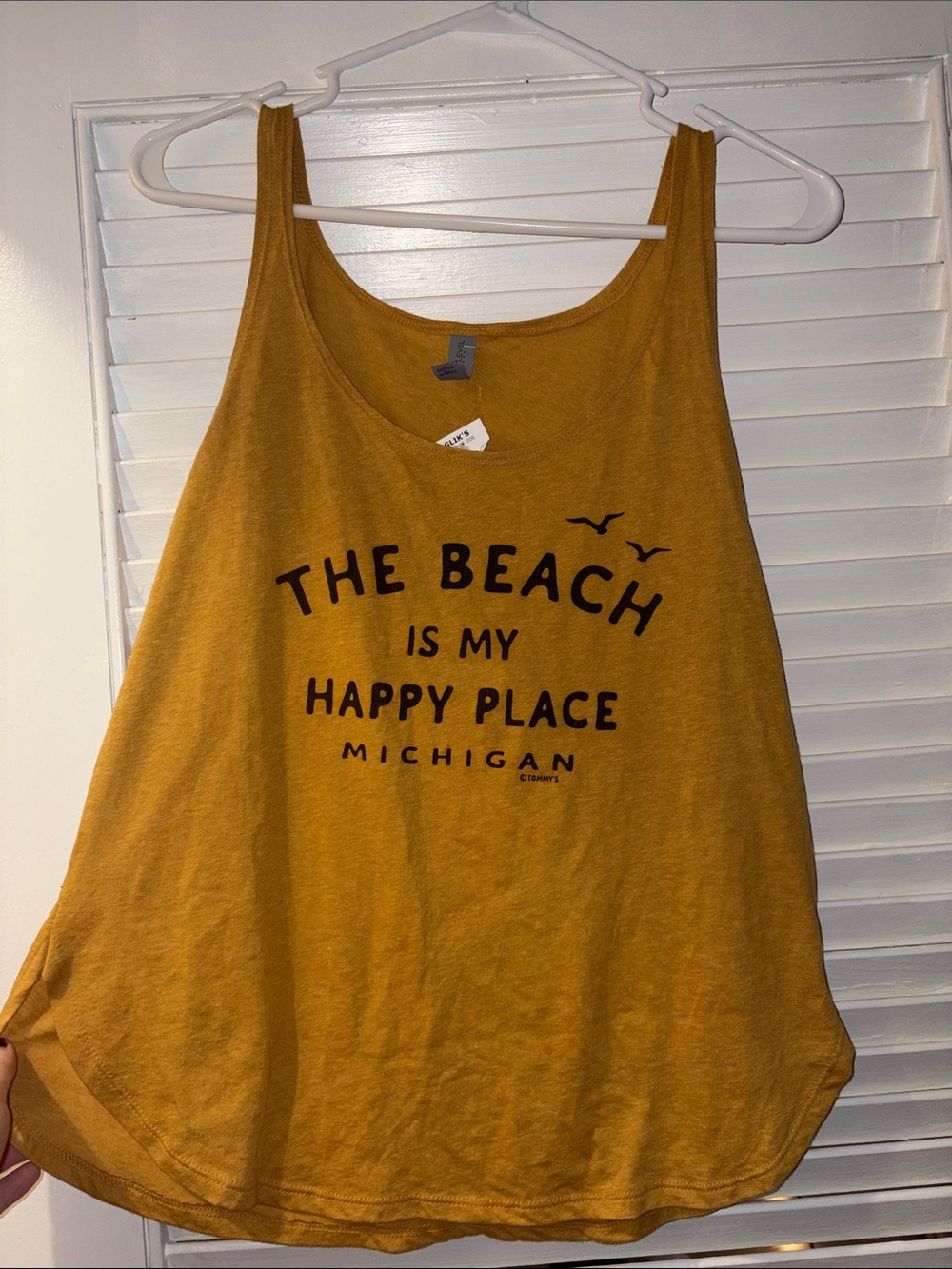 Trendy Brand New Next Level Apparel Michigan Graphic Tank Top🔥